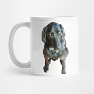 lab puppy Mug